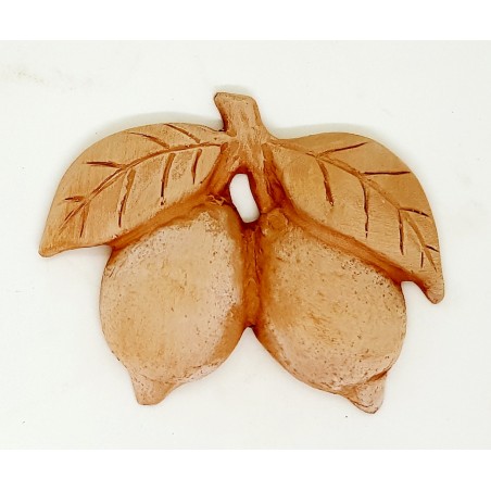 Limoni da muro Terracotta 12,5 x 10 cm