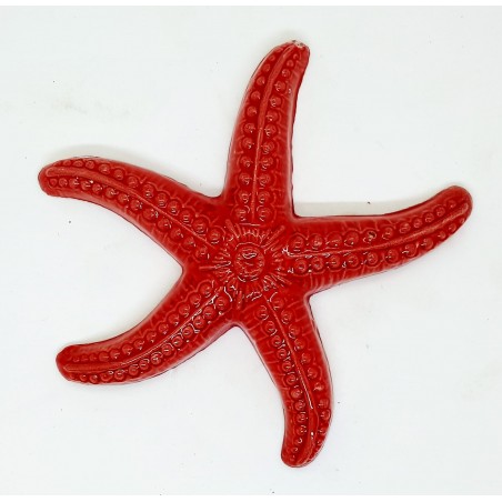 Stella marina da muro 16 x 16 cm