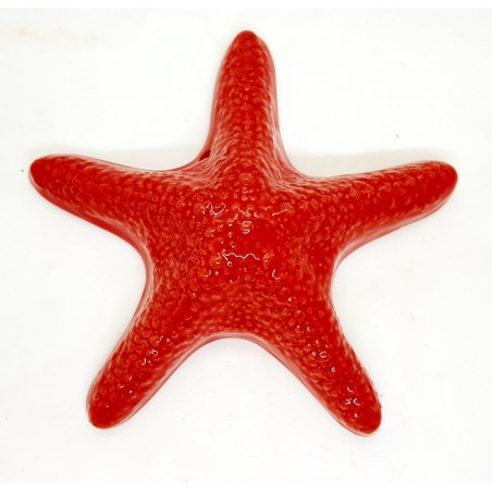 Stella marina da muro 13 x 13 cm