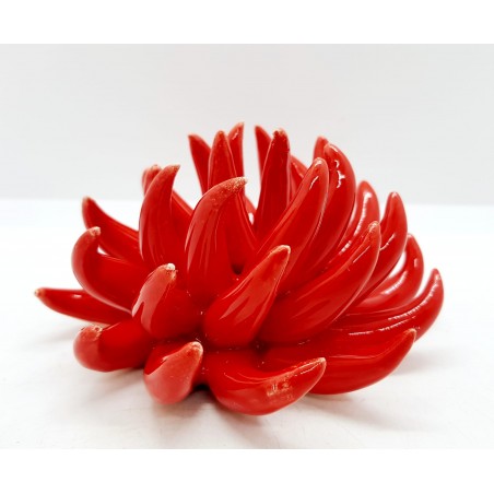 Anemone 12 x 6 cm